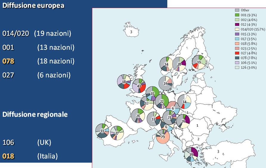 Fig. 1: diffusione dei ceppi di CD nelle popolazioni 